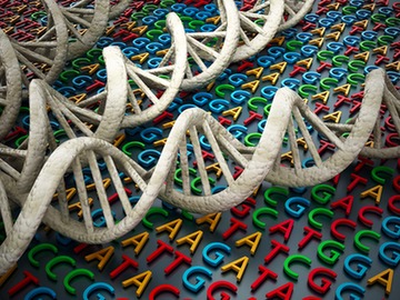 dna replication