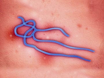 insidious ebola causing harm in a way that is gradual or not easily noticed harmful but enticing ambush