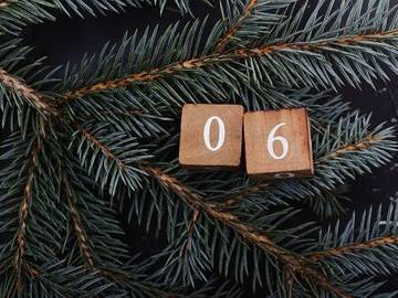 pine-tree-branches-with-number-six