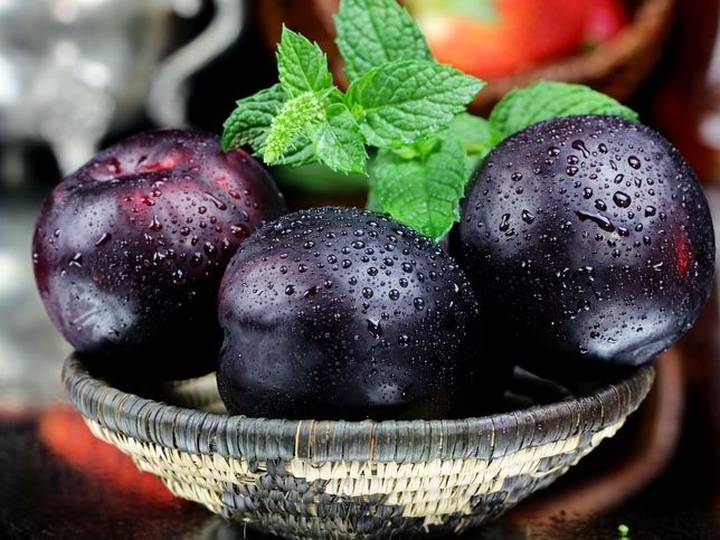 'Plum' vs. 'Plumb' (vs. 'Plump') Usage and Difference Merriamster