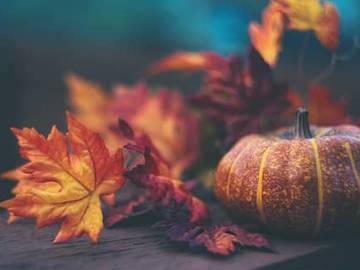small pumpkin and orange leaves