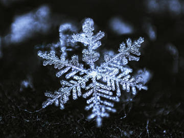 What does snowflake mean? – The Sun