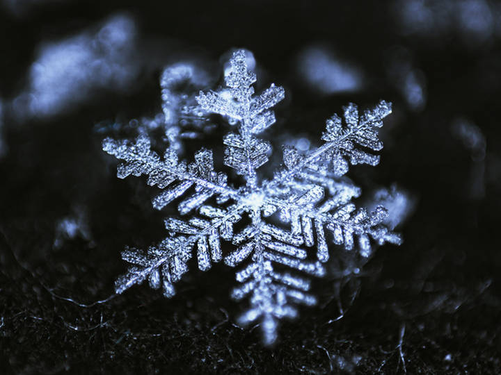 A New Meaning Of The Word Snowflake Merriam Webster