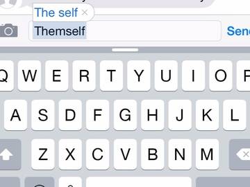 themself