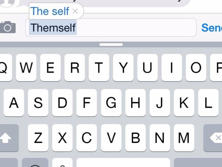 is-themself-a-word-merriam-webster