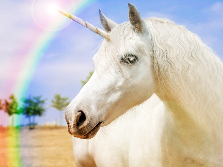 Words We're Watching: Unicorn | Merriam-Webster