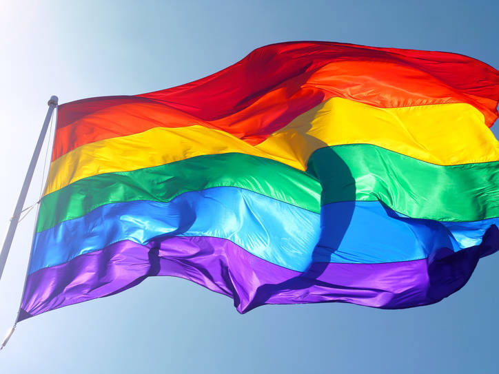 history of the gay flag