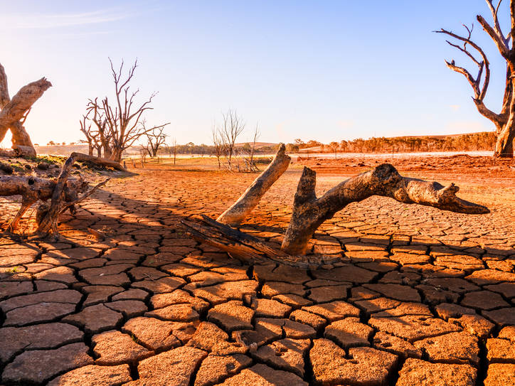 Correct Usage Of 'Drought' or 'Drouth' | Merriam-Webster