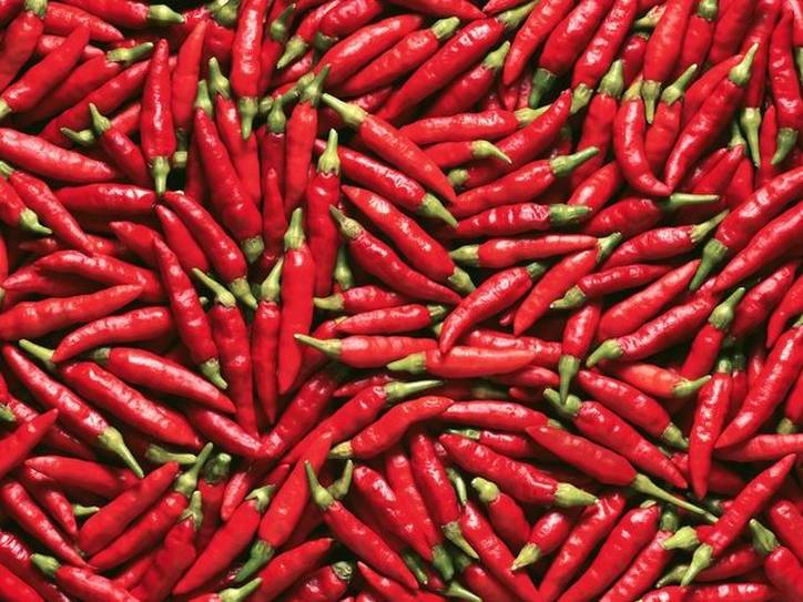 Chili, Chilli, and Chile: Explaining the Difference | Merriam-Webster