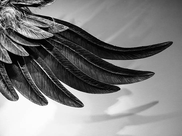 The History of 'Angel' | Merriam-Webster