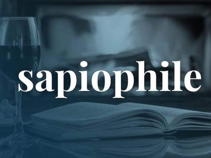 Mean sapiophile what does 