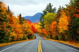 autumn road in the white mountains of new hampshire in autumn