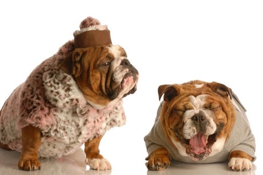 BABUSHKA Definition & Meaning - Merriam-Webster