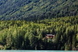 remote-cabin-in-woods