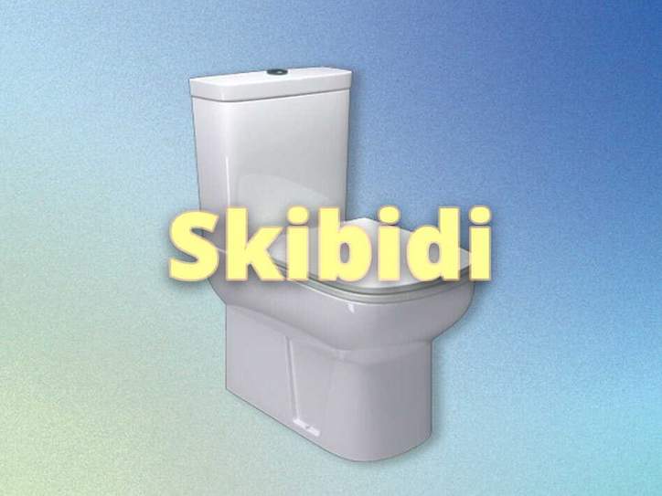 Skibidi, Mog & More: Gen Alpha Slang | Merriam-Webster