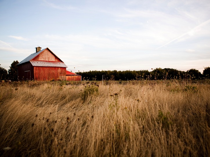 Boondocks Karaoke, Chutzpah, Kerfuffle & More Merriamster