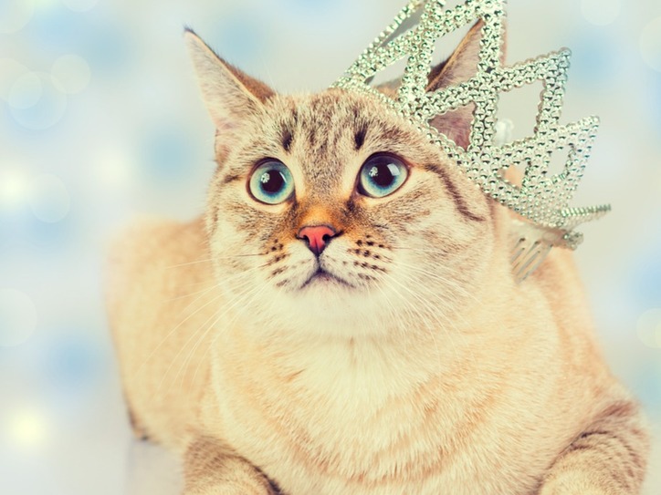 Fanciful Words for Your Favorite Things | Merriam-Webster