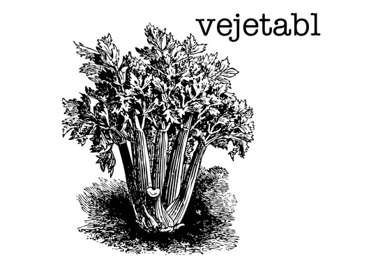 8 spelling suggestions that didnt stick vejetabl instead of vegetable
