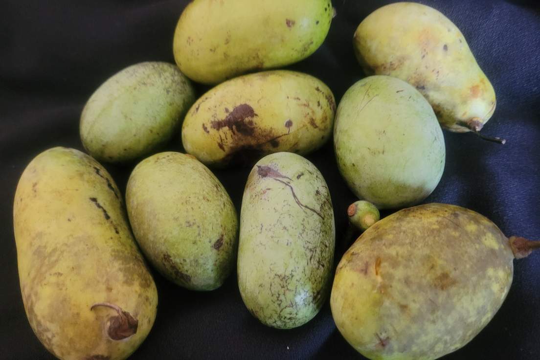 8 Delicious Words for Fruits and Vegetables Merriamster