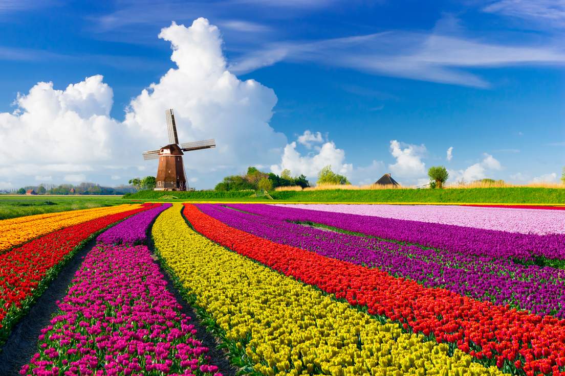 12 Words for Signs of Spring Merriam Webster 12 Words for Signs of Spring Merriam Webster