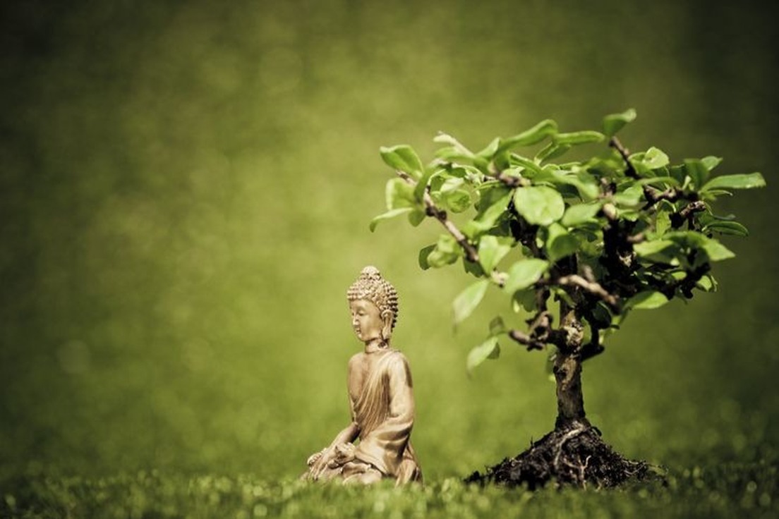 A 12-Word Journey on the Buddhist Path | Buddhism Terms and Definitions ...