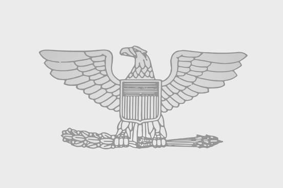 colonel rank insignia