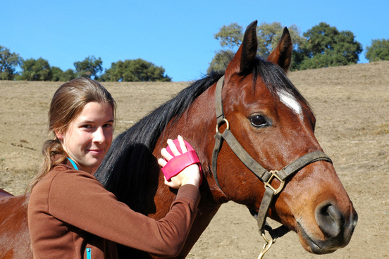 horse-words-derby-hack-bidet-and-more-merriam-webster