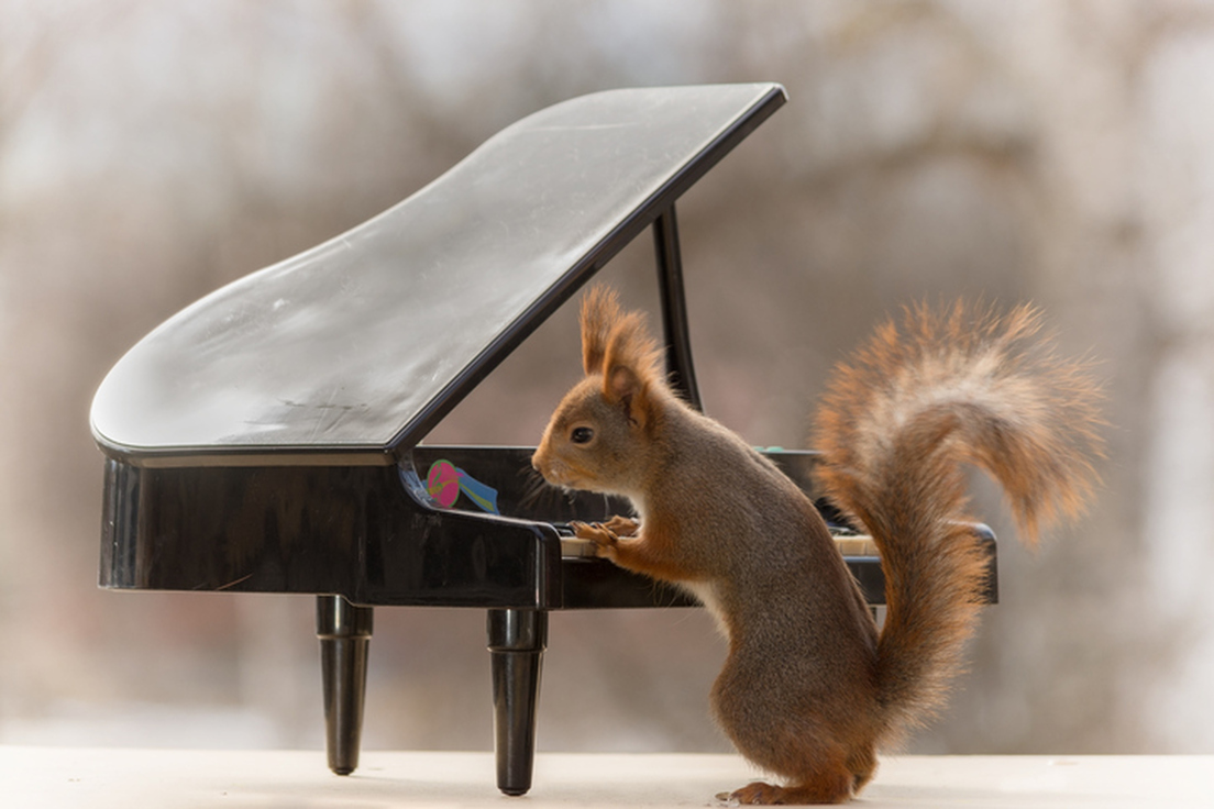 'Easypeasy,' 'Jiggerypokery,' and 10 More Reduplicatives Merriam