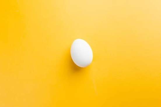 egg on yellow background