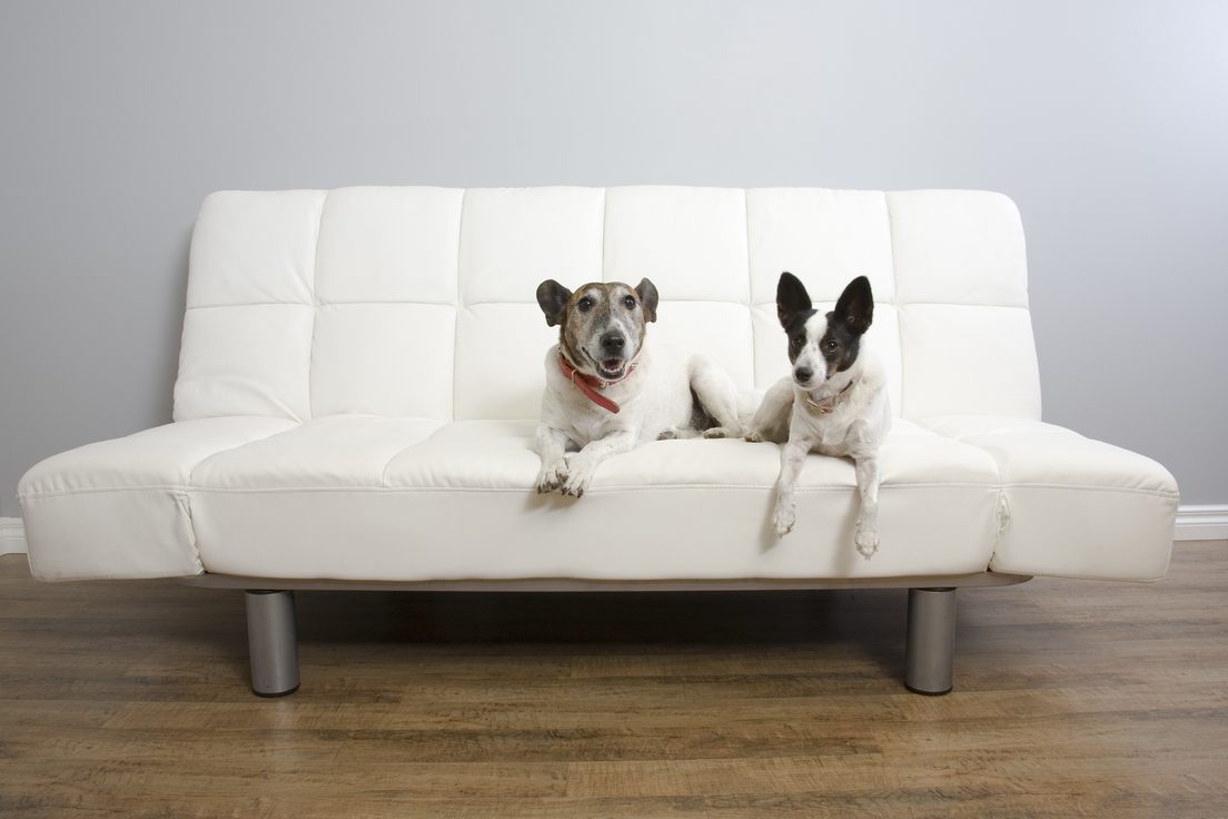 17 English Words That Come From Japanese Merriamster