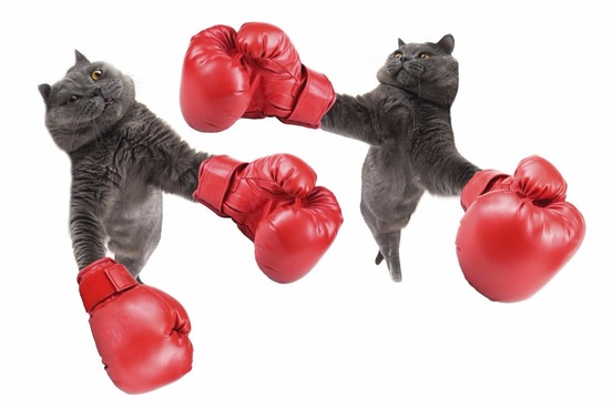 Knockout - English Idioms - English The Easy Way