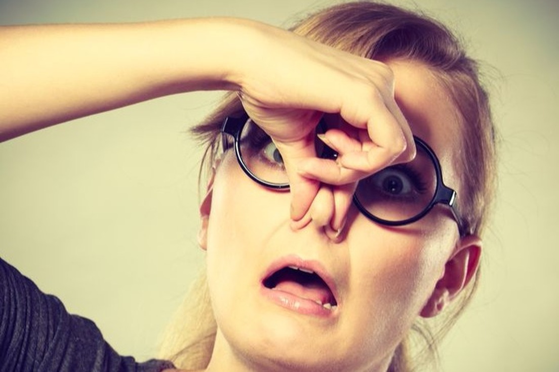 Your Body Is a Metaphor Merriamster