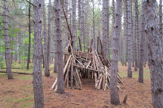 lean-to-in-woods-photo