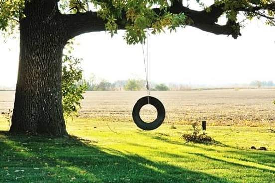 tire swing