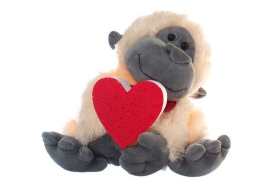 unusually long words xenotransplantation monkey with heart