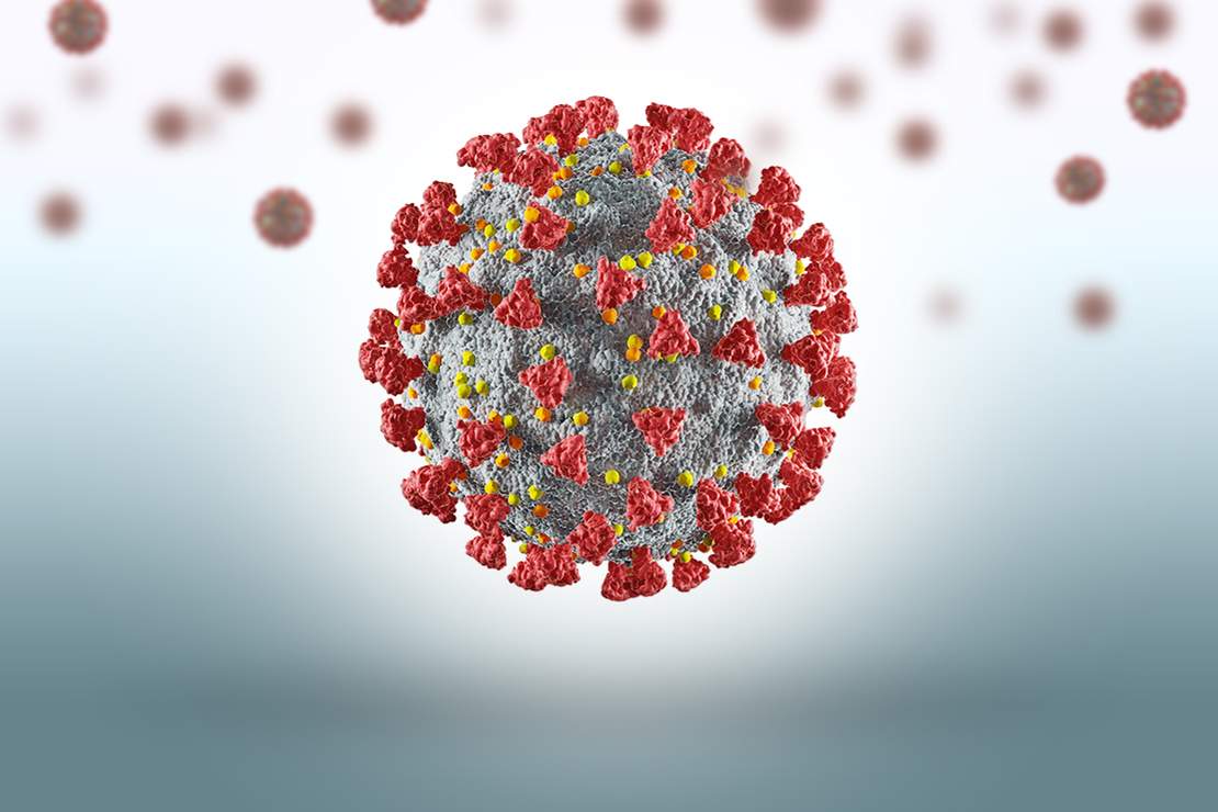 coronavirus