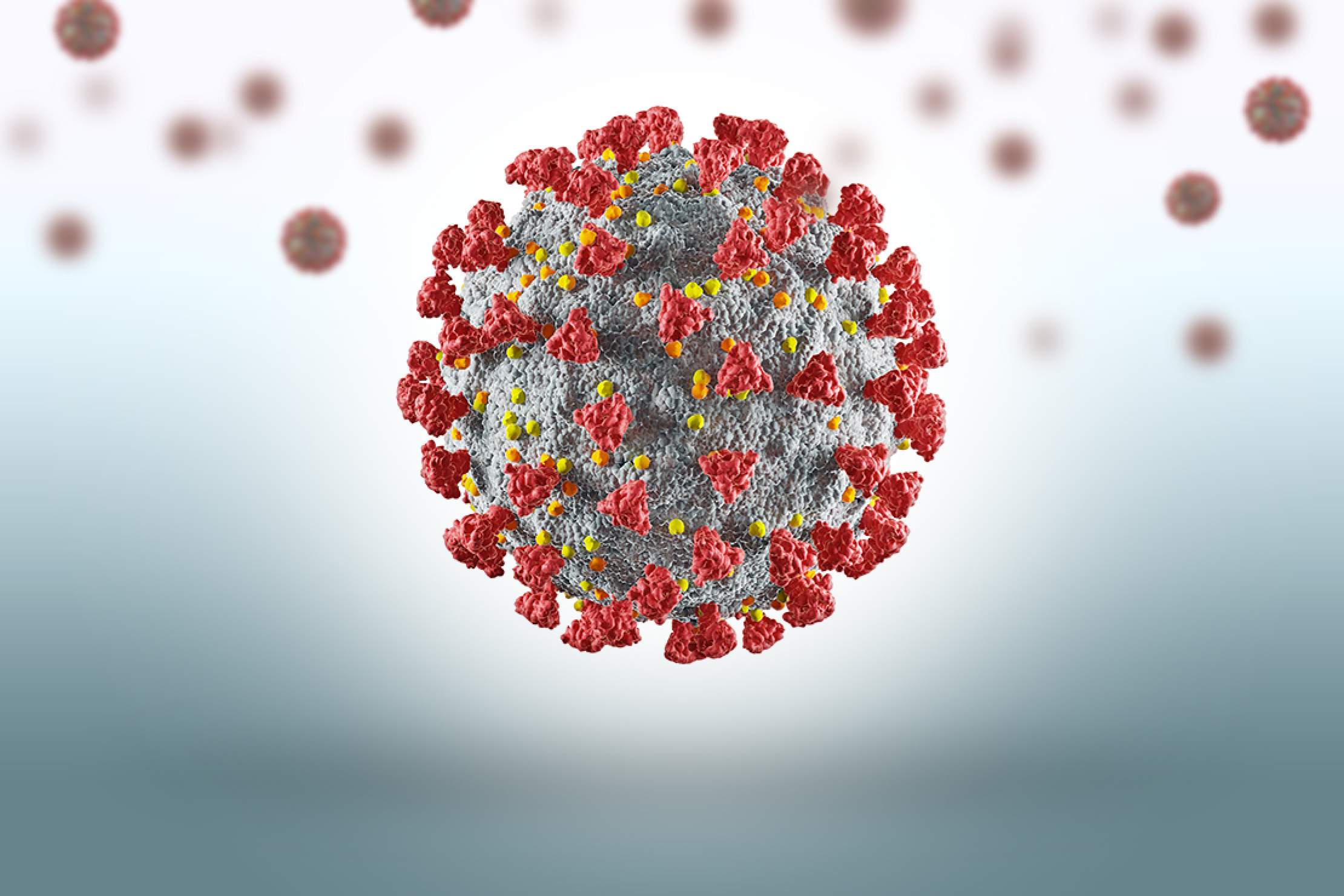 Word of the Year 2020 Pandemic MerriamWebster