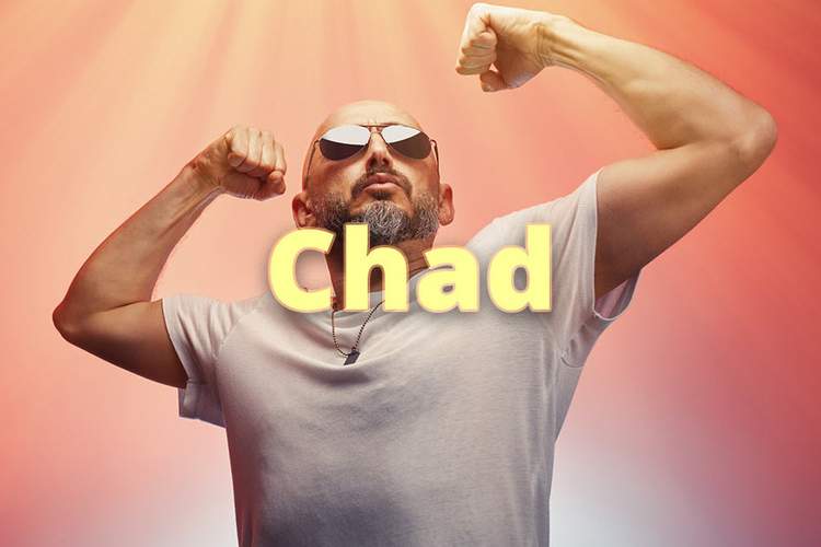 CHAD Definition & Meaning - Merriam-Webster