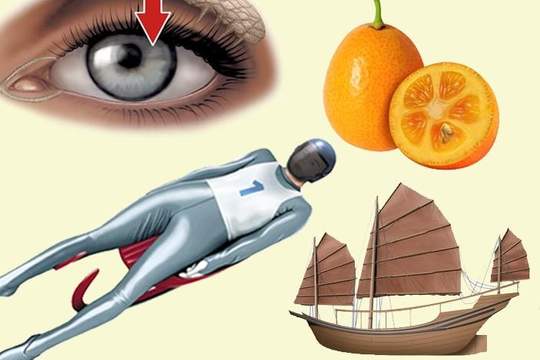 a collage of illustrations including an orange a figure on a sled a ship and an eye