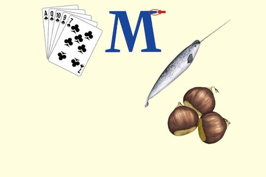 a collage of quiz items flush serif narwhal and chestnuts