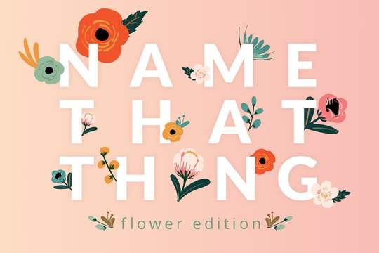 name that thing flower edition