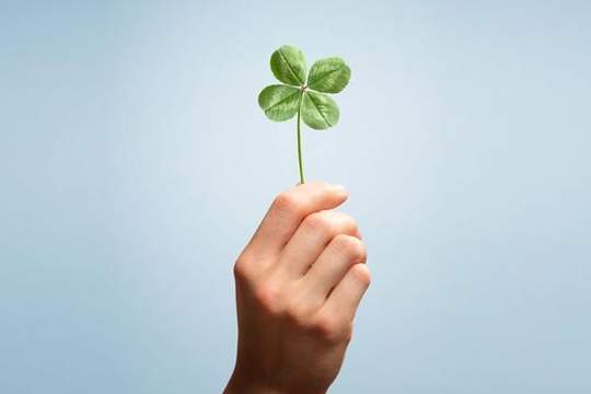 womans hand holding a green four leaf clover