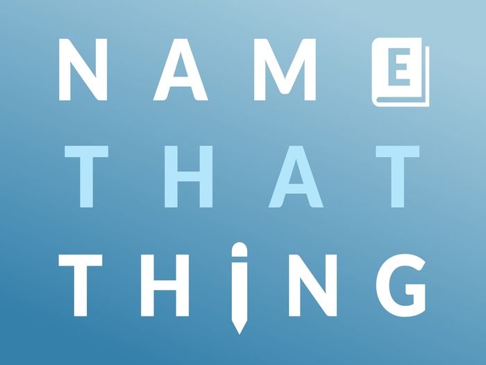 Name That Thing - Word Game | Merriam-Webster