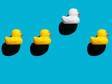 white rubber duck stands out in a row of yellow ducks