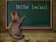 a cat teaching the pronunciation of meow to a classroom of kittens using ipa style rather than mw style because the cat uses our learners dictionary rather than the collegiate