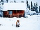 fox in front of cabin in winter