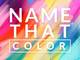 name that color logo