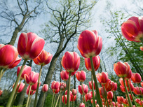 april word of the day