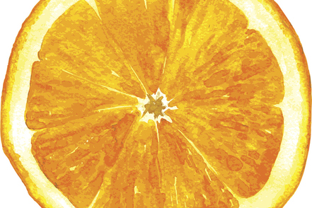 a citrus fruit possibly named after a person