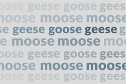 video moose goose weird plurals